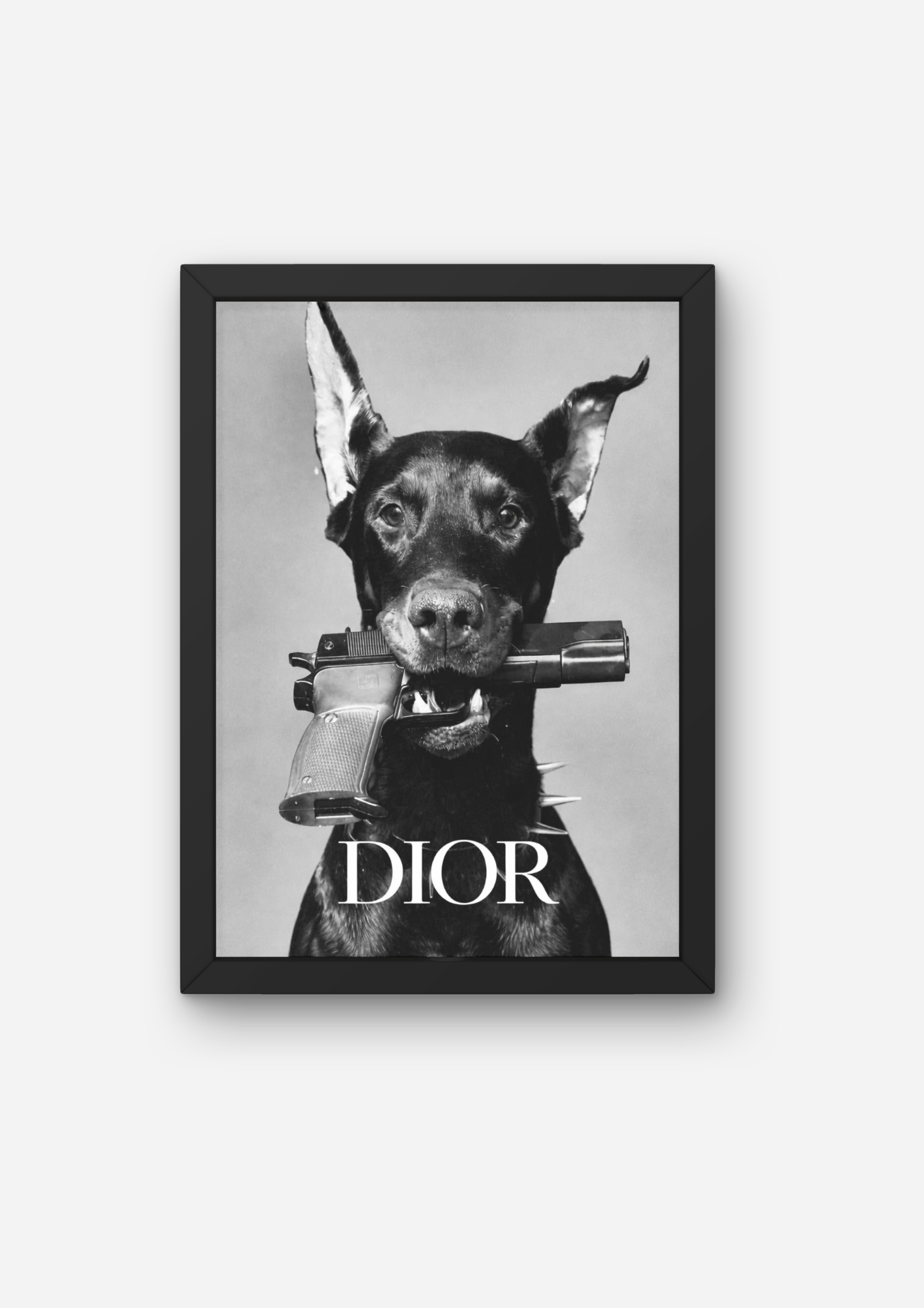 Dior Doggy