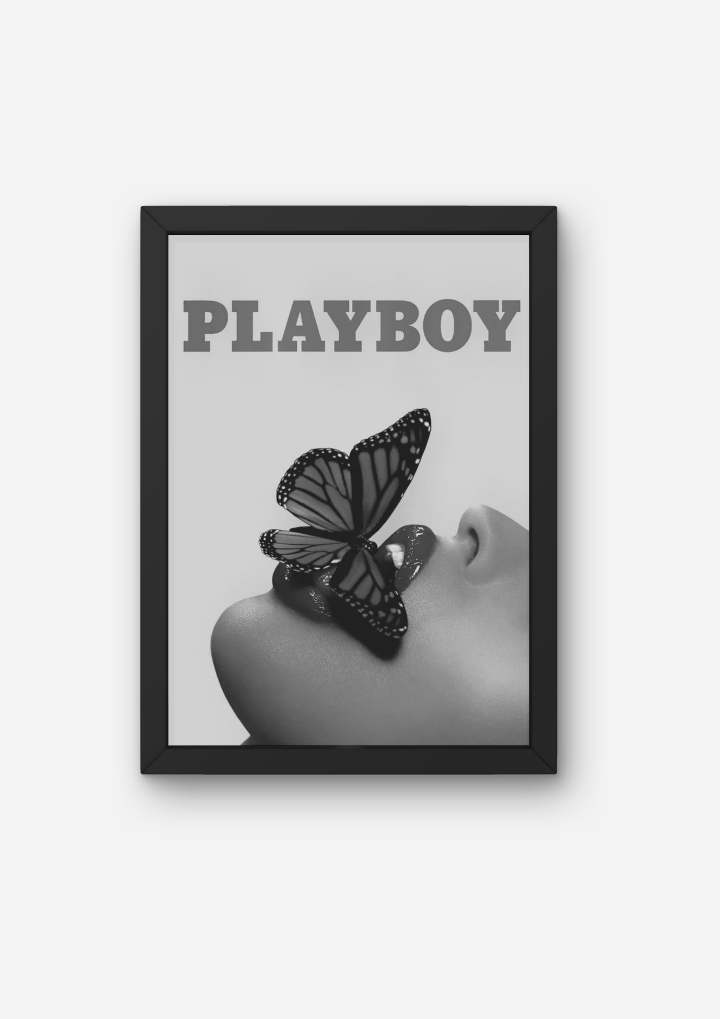 PlayBoy