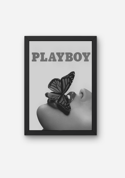 PlayBoy